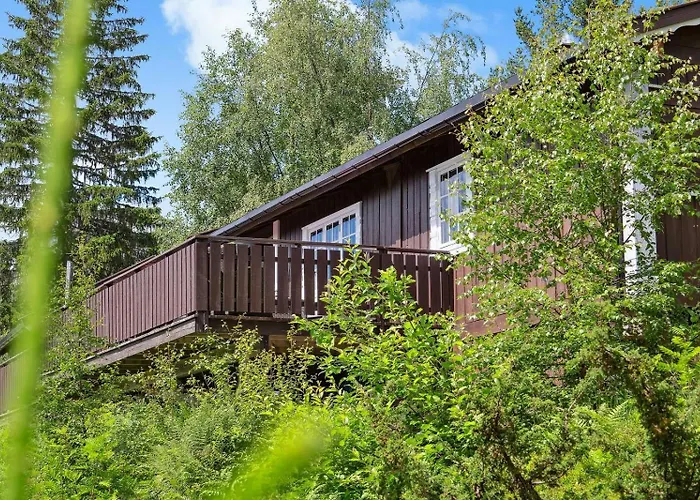 Cosy With Annex At Blefjell * Kongsberg
