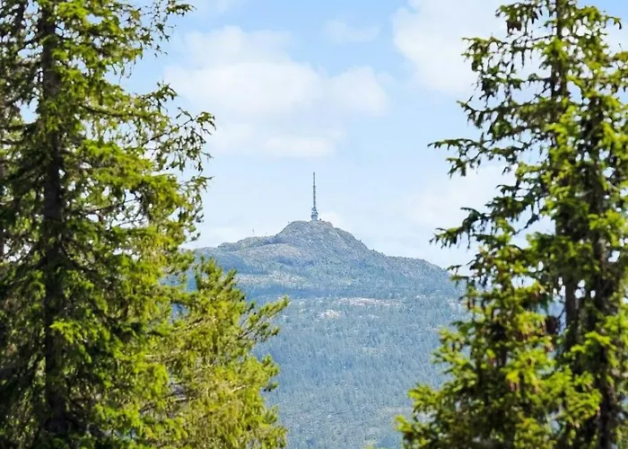 Cosy With Annex At Blefjell